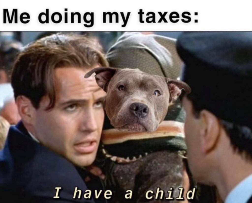 the best taxes & accounting stress memes